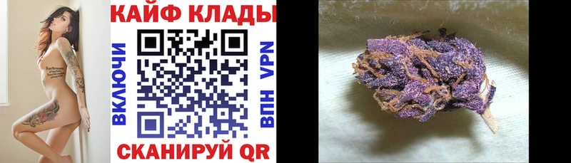 ЭКСТАЗИ Владимир