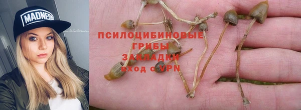метадон Армянск