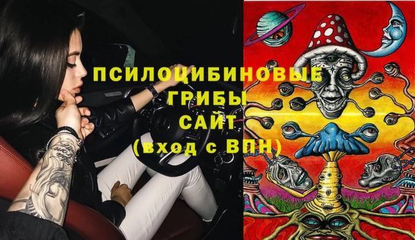 прущая мука Арсеньев