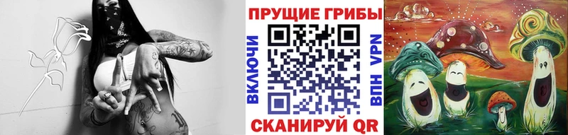 Галлюциногенные грибы Cubensis  hydra зеркало  Владимир  хочу наркоту 