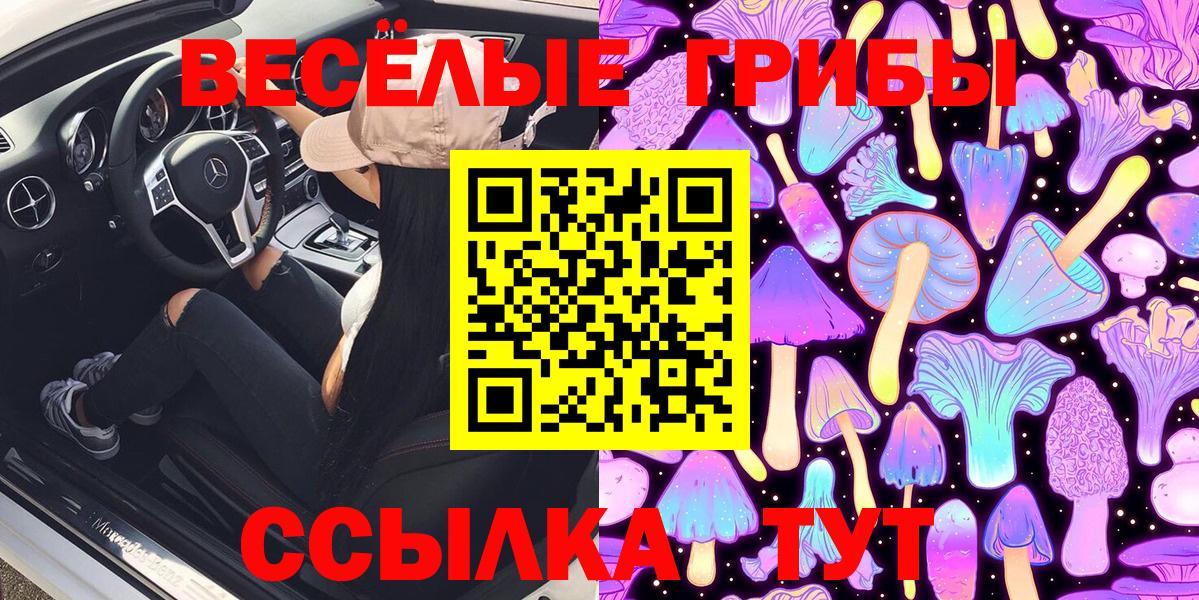 Владимир  Галлюциногенные грибы ЛСД  Вход с VPN 