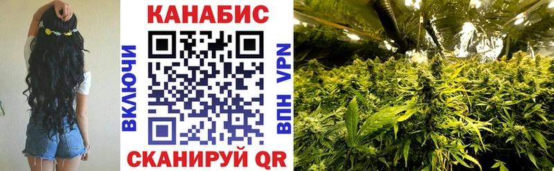 darknet Telegram  магазин продажи   Владимир  Бошки марихуана Bruce Banner 